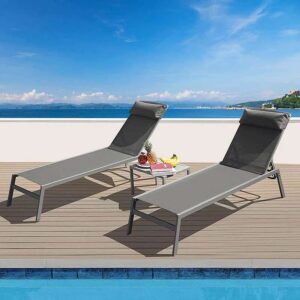 Patio Pool Lounge Chair Set (2 Chairs)